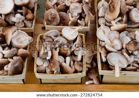 Row of mushroom boxes at Fruits and Vegetables stall in University District farmer market (aka U-district) in Seattle, WA, USA