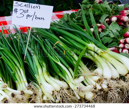 Scallion bunches next to sparkler radish at Fruits and Vegetables stall in University District farmer market (aka U-district) in Seattle, WA, USA