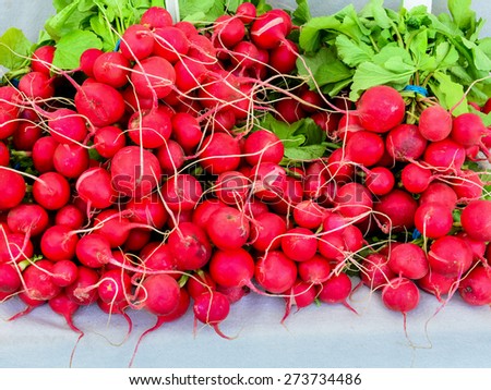 Radish bunches at Fruits and Vegetables stall in University District farmer market (aka U-district) in Seattle, WA, USA