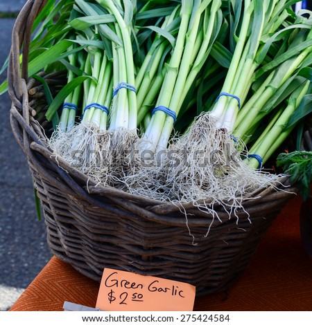 a basket of organically grown green garlic in the Fruits and Vegetables stall at University District farmer market (aka U-district) in Seattle, WA, USA