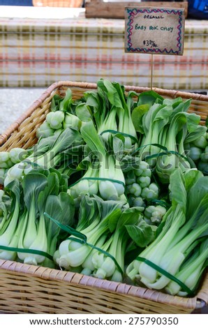 a gasket of organically grown baby bok choy in the Fruits and Vegetables stall at University District farmer market (aka U-district) in Seattle, WA, USA