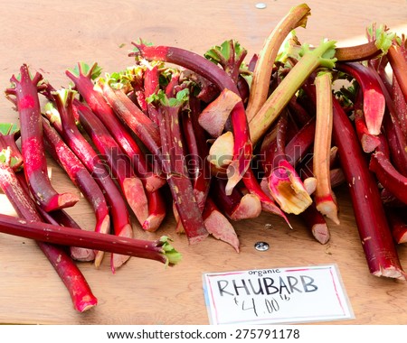 A bunch of organically grown Rhubarb in the Fruits and Vegetables stall at University District farmer market (aka U-district) in Seattle, WA, USA