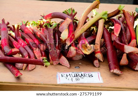 A bunch of organically grown Rhubarb in the Fruits and Vegetables stall at University District farmer market (aka U-district) in Seattle, WA, USA