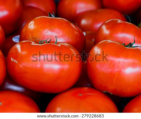 Group of fresh organically grown large tomatoes in the farmer market at Puyallup, Washington, USA.