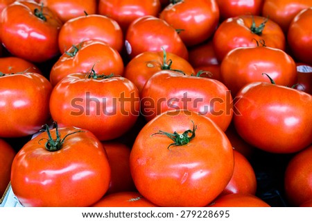 Group of fresh organically grown large tomatoes in the farmer market at Puyallup, Washington, USA. Full frame of group tomatoes.