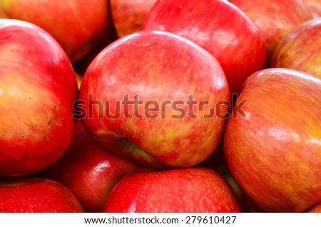 Group of organically grown red apples in the farmer market at Puyallup, Washington, USA. A close up full frame of red apples.