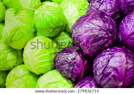 Group of fresh organically grown green and red cabbage in the farmer market at Puyallup, Washington, USA