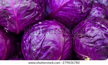 Group of fresh organically grown red cabbage in the farmer market at Puyallup, Washington, USA. Panoramic style