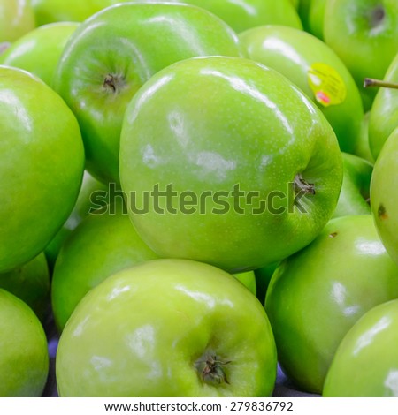 Group of organically grown Granny Smith apples in the farmer market at Puyallup, Washington, USA. A close up full frame of green apples.
