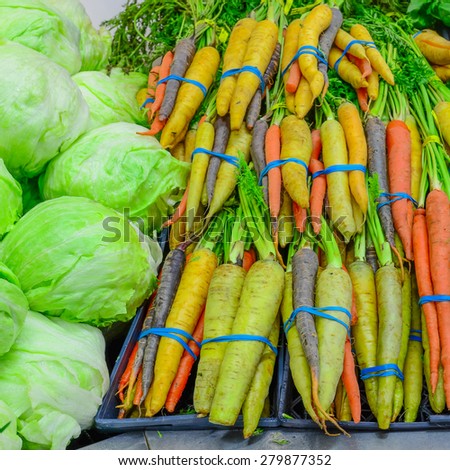 Group of fresh organically grown green cabbage and rainbow carrots in the farmer market at Puyallup, Washington, USA. A close up full frame of organic produces. Healthy concept.