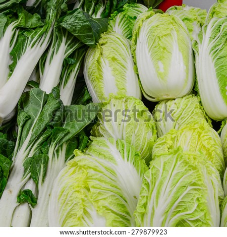 Group of fresh organically grown baby bok choy and napa cabbage in the farmer market at Puyallup, Washington, USA