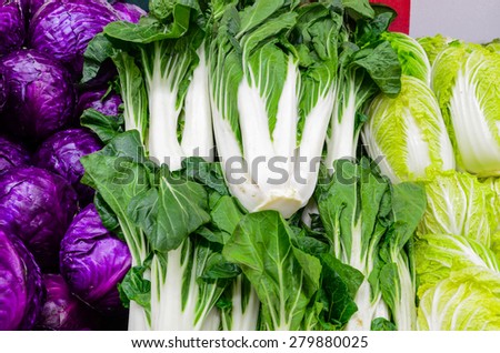 Group of fresh organically grown red cabbage, baby bok choy and napa cabbage in the farmer market at Puyallup, Washington, USA