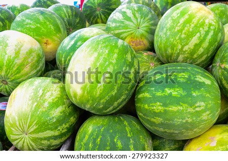 Group of fresh organically grown watermelons  in the farmer market at Puyallup, Washington, USA. A close up full l frame of watermelons.