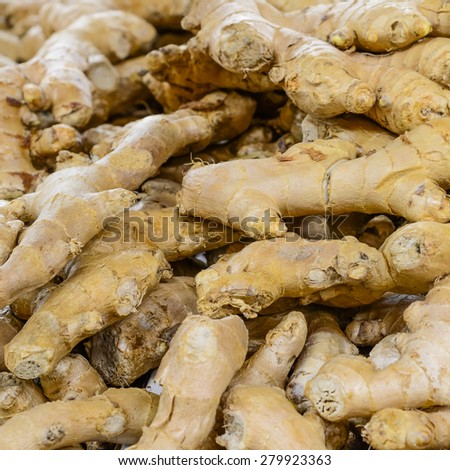 Group of fresh organically grown gingers in the farmer market at Puyallup, Washington, USA. A close up full l frame of gingers.
