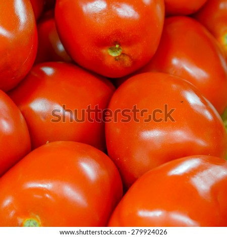 Group of fresh organically grown tomatoes  in the farmer market at Puyallup, Washington, USA. A close up full l frame of tomatoes .