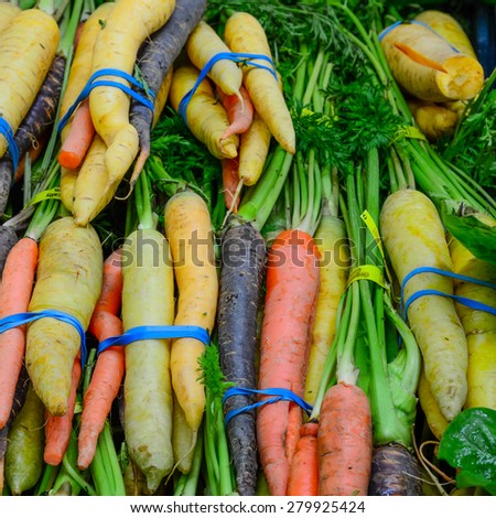 Group of fresh organically grown rainbow carrots in the farmer market at Puyallup, Washington, USA. A close up full frame of colorful rainbows carrots. Healthy and colorful concept.