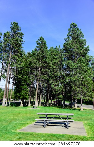 Roadside rest area with a picnic table and many of pine trees in background. A sunny day at a rest area next to the highway I-90 of Washington State, US.