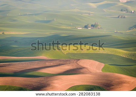Palouse rolling hills in sunrise, the view from Stepteo Butte State Park. The low light and low rolling hills in different colors and shade are unique beauty of this Eastern Washington area.