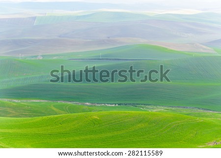 Palouse rolling hills in sunrise. The view from top of Steptoe Butte State Park.