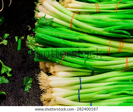 Bundle of green onions in a supermarket at Colfax, Whitman County, Washington, USA. Close up and full frame view of green onions. Color full and healthy concept.