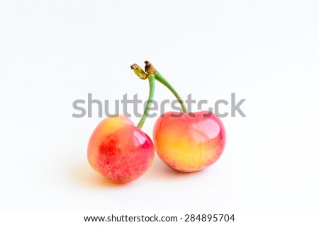 Two Rainier cherries on isolated white background. They are grown in Yakima Valley, a prime agricultural area of Washington State and the largest variety of crops in the Pacific Northwest, USA.