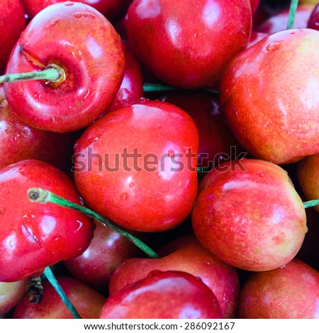 Close up view of group Rainier cherries. Rainiers are sweet cherries with a thin skin and thick creamy-yellow flesh.