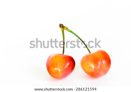 Two Rainier cherries on isolated white background. Rainiers are sweet cherries with a thin skin and thick creamy-yellow flesh. Copy space.