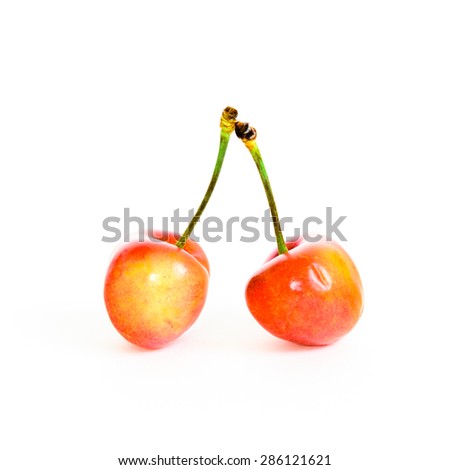 Two Rainier cherries on isolated white background. Rainiers are sweet cherries with a thin skin and thick creamy-yellow flesh.