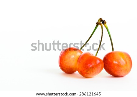 Three Rainier cherries on isolated white background. Rainiers are sweet cherries with a thin skin and thick creamy-yellow flesh. Copy space.