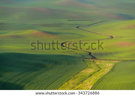 Palouse rolling hills in sunrise, view from Stepteo Butte State Park. The low light and low rolling hills in different colors and shade are unique beauty of this Eastern Washington. Natural background