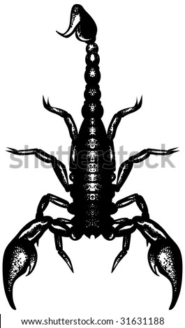 stock vector Nice black and white scorpion Cool for tshirt prints