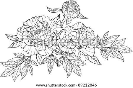Peony Flowers on Realistic Graphic Three Peony Flower Tattoo Image With Leaves  Cool