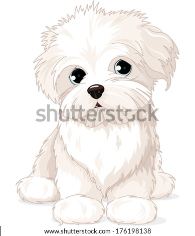 Clipart Maltese Puppy Dog Clipart Maltese Puppy Dog