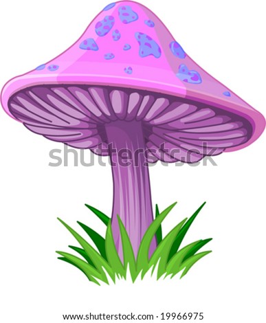 Poisonous Fungus