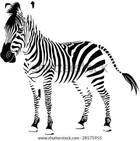 stock vector Isolated zebra silhouette texture detail