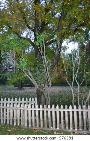 Fall yard white picket fence