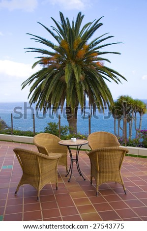 Coffee table with four rattan chairs and palm in background