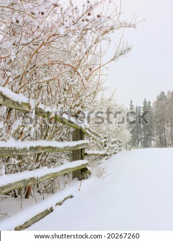 The winter scene of a wooden rail fence line during a snow storm with pine trees in the background