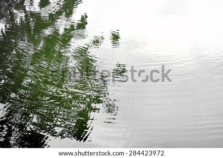 Trees mirrored on rippled water surface in nature
