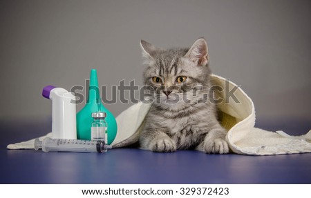 little kitten is sick, treatment kitten