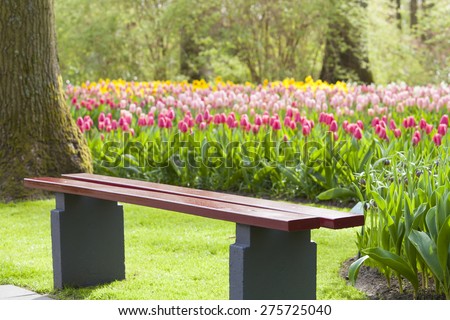 Outdoor Wooden Chair in a tulip colourful park
