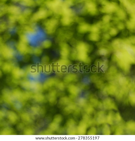 Bokeh nature background (abstract tree background).