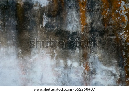 Rustic Grunge Cement wall texture with fungus