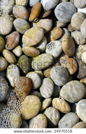 Rocks in a water zen garden