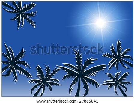 Sunny sky and palms.