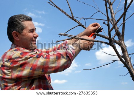 Gardener with smile on his face cutting tree on blu sky background
