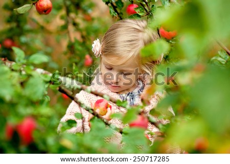 little smiling girl standing near in the garden  the apple tree and gathering apples