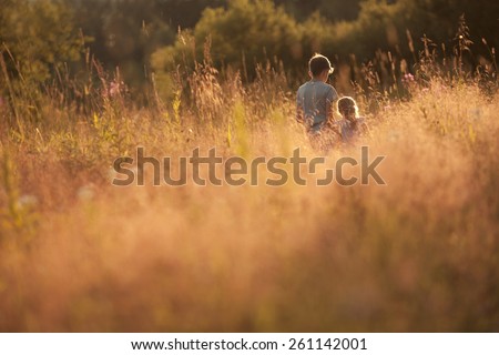 older brother and sister are in a summer field at sunset