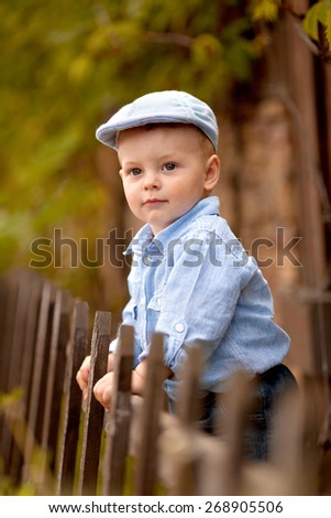 portrait of little boy in the blue shirt and  cap is standing near the wooden fence in the garden