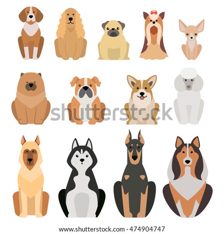 Vector illustration of different dogs breed isolated on white background. Flat dogs breed vector icon illustration, flat dogs breed isolated vector. Dog breed flat silhouette